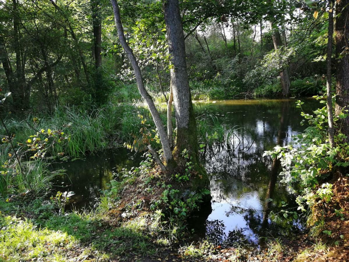 Villa Mazurska Knieja Milakowo Esterno foto